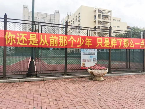 开学季条幅大赏 广告人的脑洞与幽默